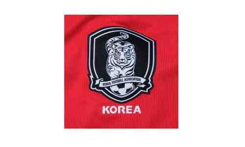 韓足協人士回應韓日聯合申辦2035亞洲杯:聯辦能減輕經濟負擔